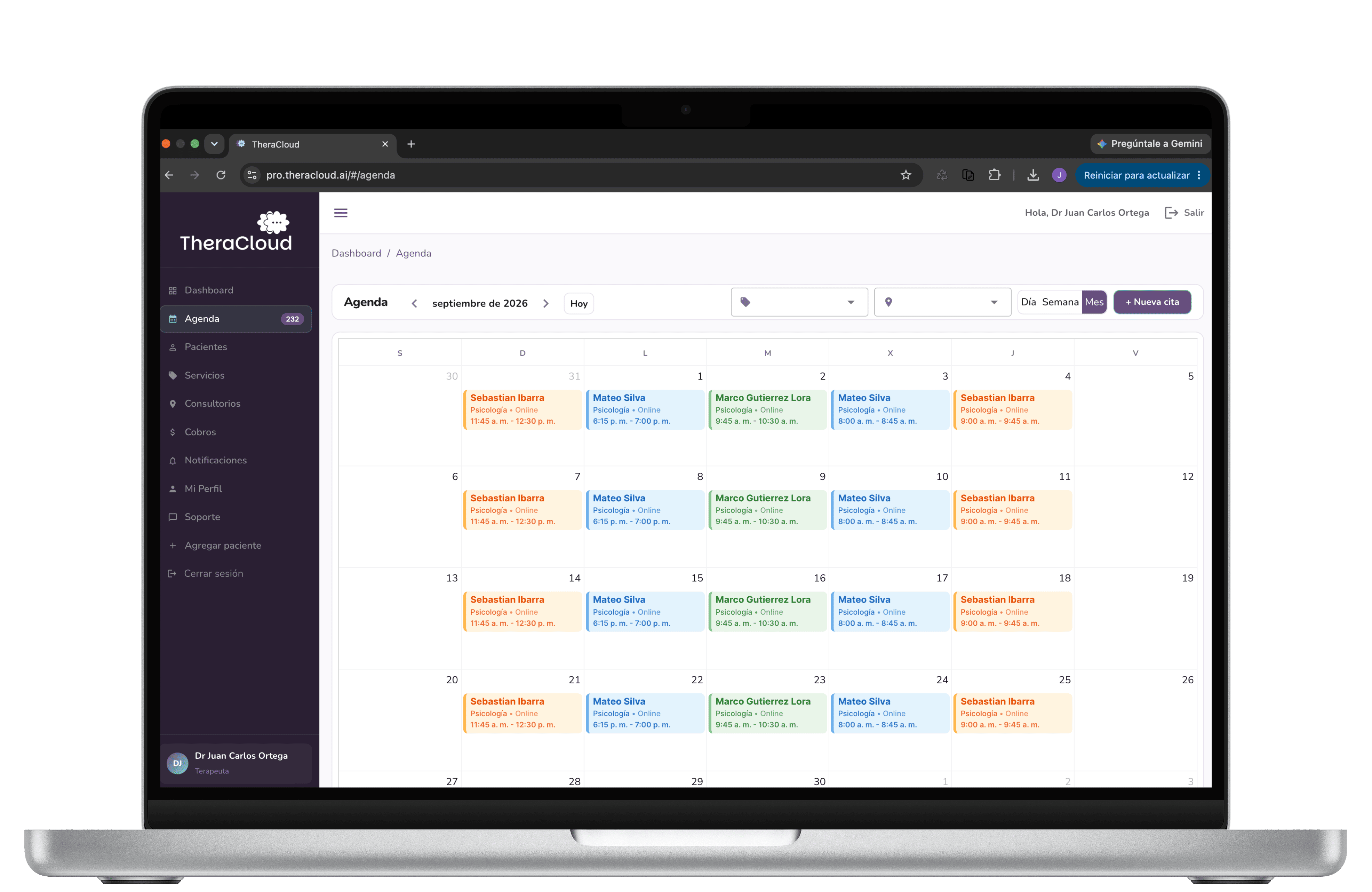 Agenda para psicólogos de TheraCloud con las sesiones de cada día y horario, y su estado de confirmación